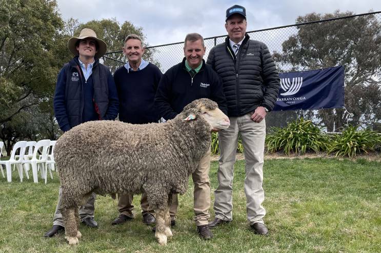 The top priced $26,000 ram with Yarrawonga Merino principals Sam and Steve Phillips and auctioneers Rick Power (Nutrien) and Paul Dooley.