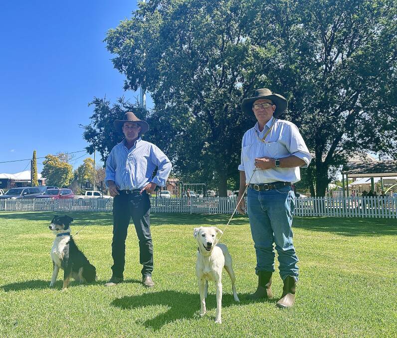 SOME OF THE PROS: One of the country's top working dogs, Echo Park Mel with her worker Mick Hudson and MGH Daisy with Barry Knight, where his dog McGlashans Crash scored 93/100. Photo: EMILY GOBOURG.