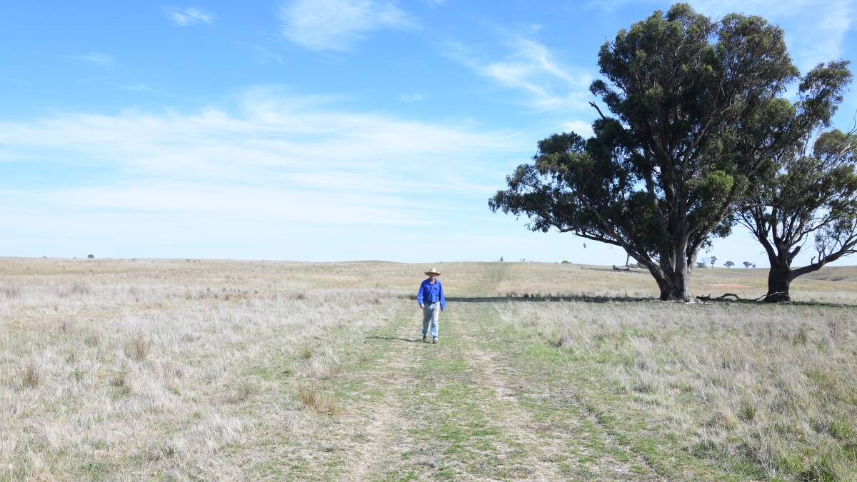 Landholder in Boomey, Lachlan 'Lach' Sullivan says he and his brother having opposite views about the Kerrs Creek Wind Farm proposal has sadly led to them no longer speaking. Picture by Carla Freedman.