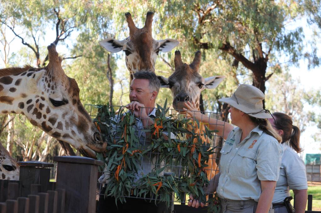 TWPZ director Steve Hinks and zookeepers Bobby-Jo and Simone feeding the giraffes, among the zoo's major animal attractions.