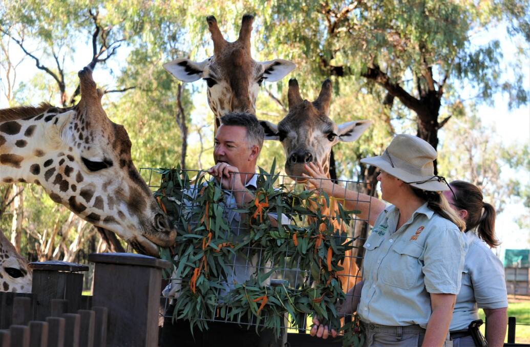 Discovery Pass to many tourism and theme parks such as Dubbo's Western Plain Taronga Zoo is available on the Savings Finder online. Picture: Elizabeth Frias