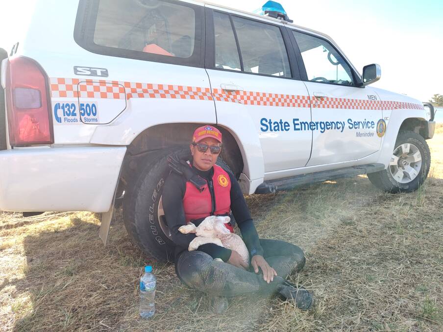 A NSW State Emergency Service personnel at Menindee after they rescued sheep from a property along the Darling River's floodwater path. Picture Supplied