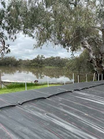 Levee on the banks of Macquarie River at Claremont, a Nyngan property preparing for the flood. Picture Supplied