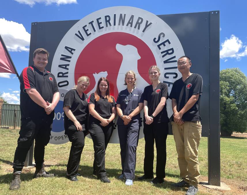 (L-R) Jackson Gibb, Lydia Herbert, Hayley Nelson, Gerogia McMaster, Abbey Cusack and Will Tong from the Orana Vet Services team. Picture by Bageshri Savyasachi
