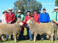 Claudette and Gerald Woodhouse, Myack Poll Merinos, John Settree, Nutrien, Mitch, Cam, Margot and Glen Rubie, Lachlan Merinos, Scott Gibson, Bald Ridge, and Brad Wilson, Nutrien, with the two top priced rams, which sold for $8500 each. Picture by Elka Devney
