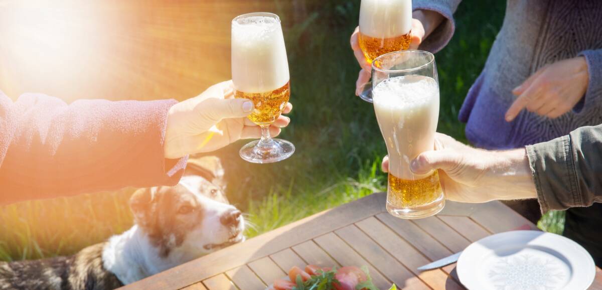 ABSTAIN: Regardless of the occasion, animals should never have alcohol. Picture: Shutterstock