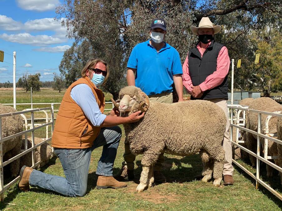 WHAT A BEAUTY: The top-priced ram with Steve Lindsay, from Peak Hill's Cora Lynn stud, buyer Kelvin Williams from Young, and auctioneer Paul Jameson from Elders stud stock in Dubbo. Photo: ELDERS STUD STOCK: