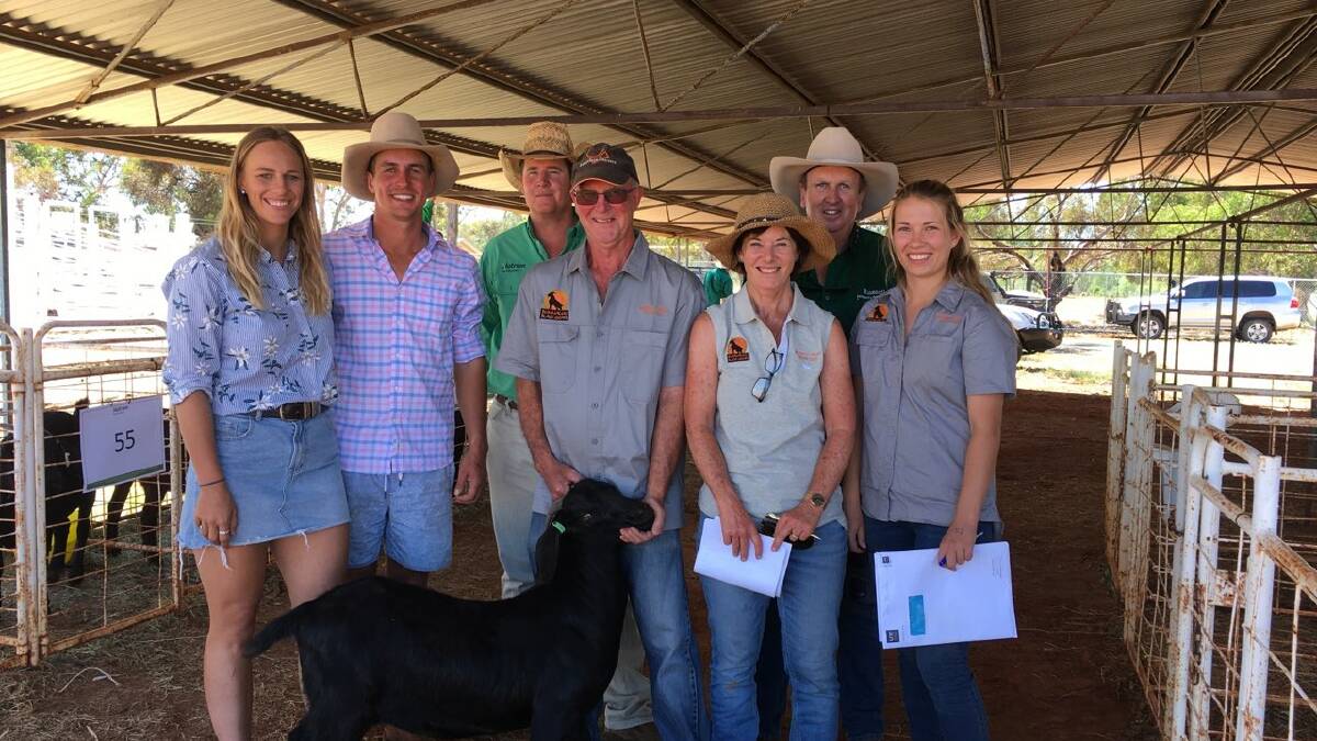 Bulk doe buyers of the sale, and buyers of the $6200 top-priced black doe, Nicole Seekamp and Ross Gates, Wilcannia, with agents Luke Scales and David Russell of Nutrien Livestock Russell, and Bunnaloo vendors Mel Hibma, Jean and Moozie van Niekerk, Moama. Photo: supplied. 