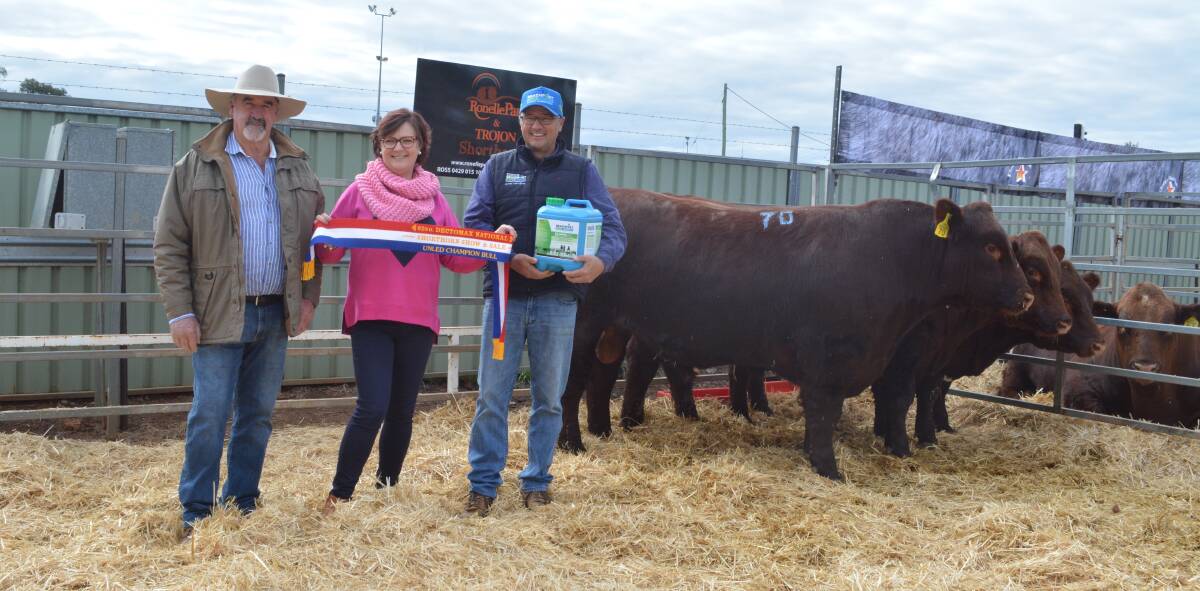 Ross and Janelle Johnstone of Ronelle Park Shorthorns, Lyndhurst and their champion unled bull, Ronelle Park Qudos Q48 with David Amor of Beachport Liquid Minerals. 