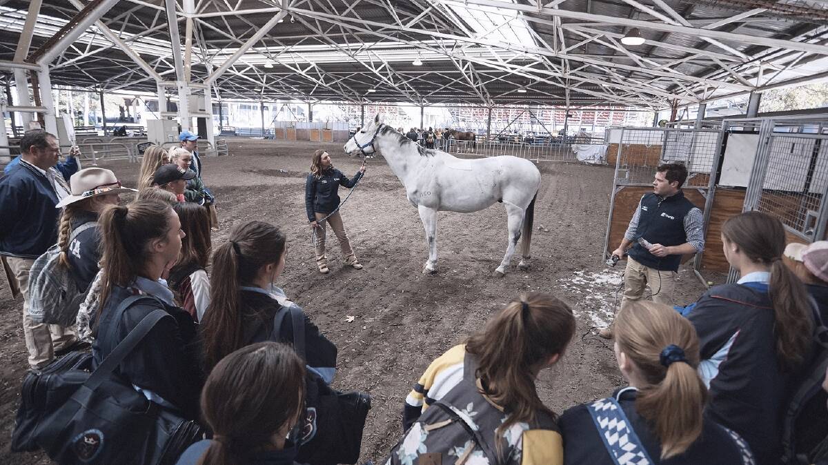 Students from Coolah Central School will travel to the Sydney Royal Easter Show from April 15 to 18 for a behind the scenes, all expenses paid trip of a lifetime. 
