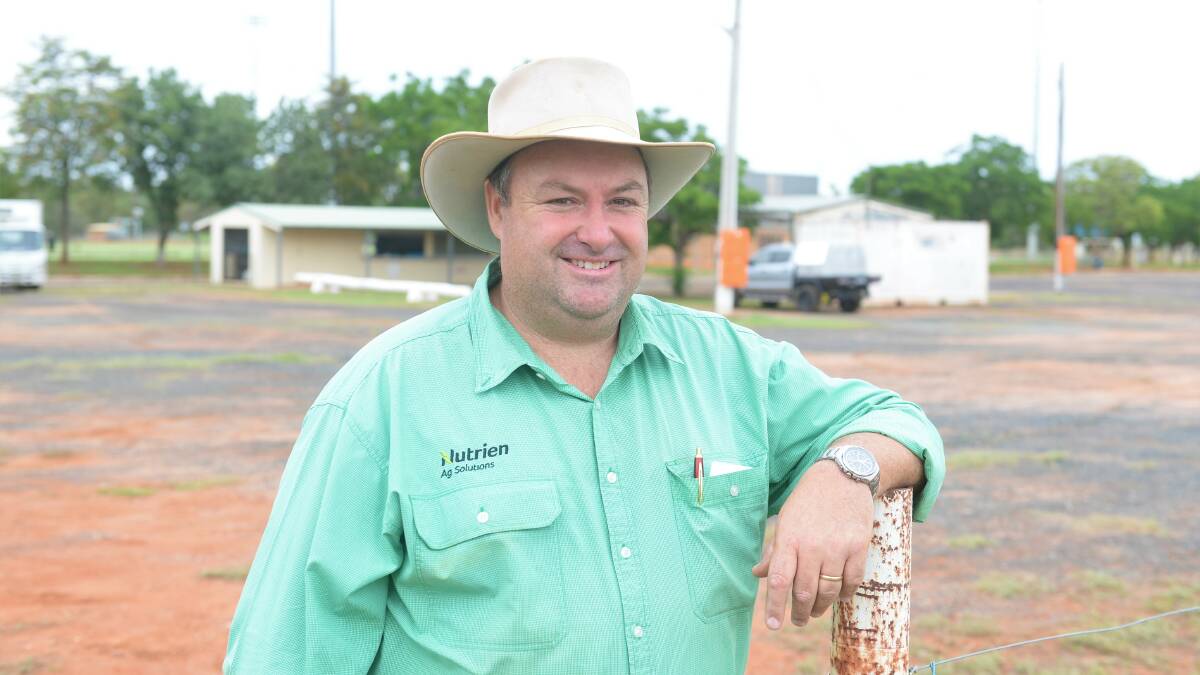 Brad Wilson is a well-known sheep classer and stud stock auctioneer for Nutrien, and is in high demand from Forbes up to the Queensland border. Photo: Kate Loudon