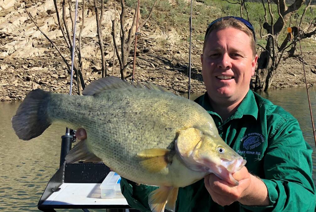 Nice Catch: Dubbo Catches author Matt Hansen with a big Burrendong Yellowbelly caught on the weekend.