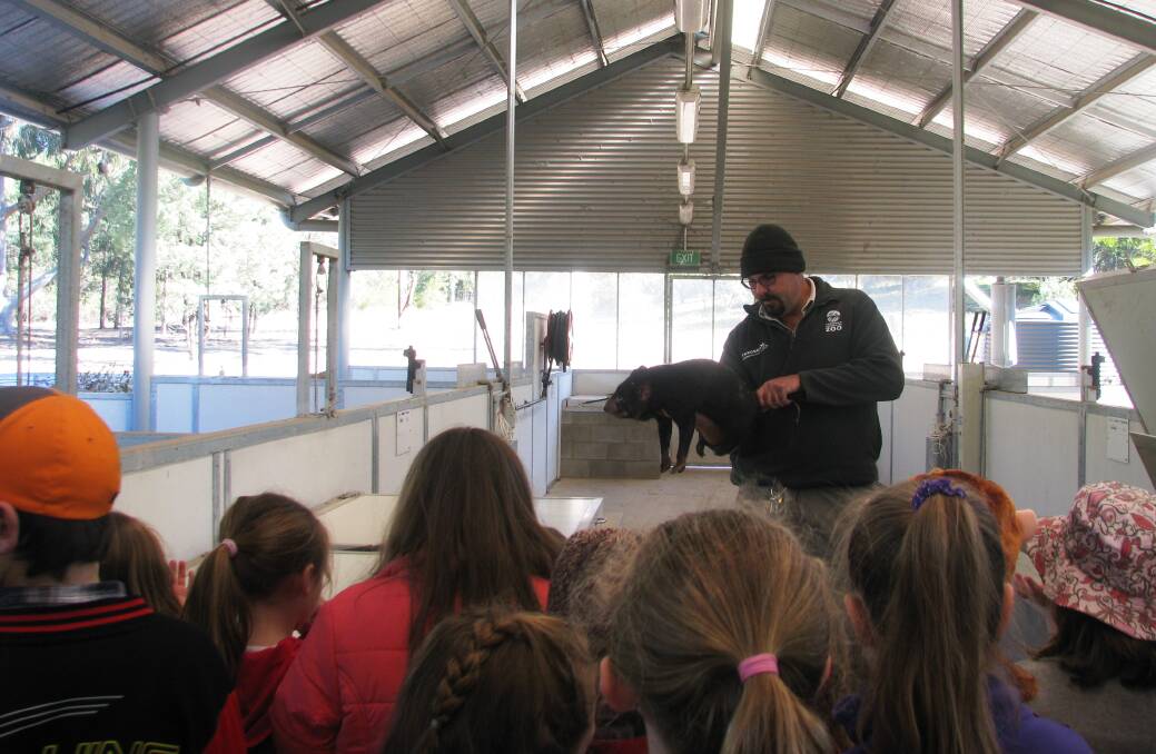 Wild Side: Zoo Adventures program goes behind-the-scenes to meet some of the Zoos animals. Zoo Adventures offers interactive learning with five different themes across the school holiday period.