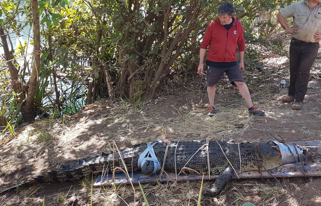 TEAM EFFORT: Tourist Bruce Barry helped park rangers pull in the male saltwater crocodile over the weekend. Pictures: NT Parks and Wildlife. 