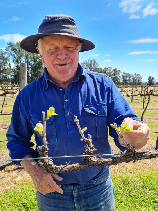 Ted Cox at a Mudgee winery couldn't find much available accommodation in Dubbo. Picture supplied 