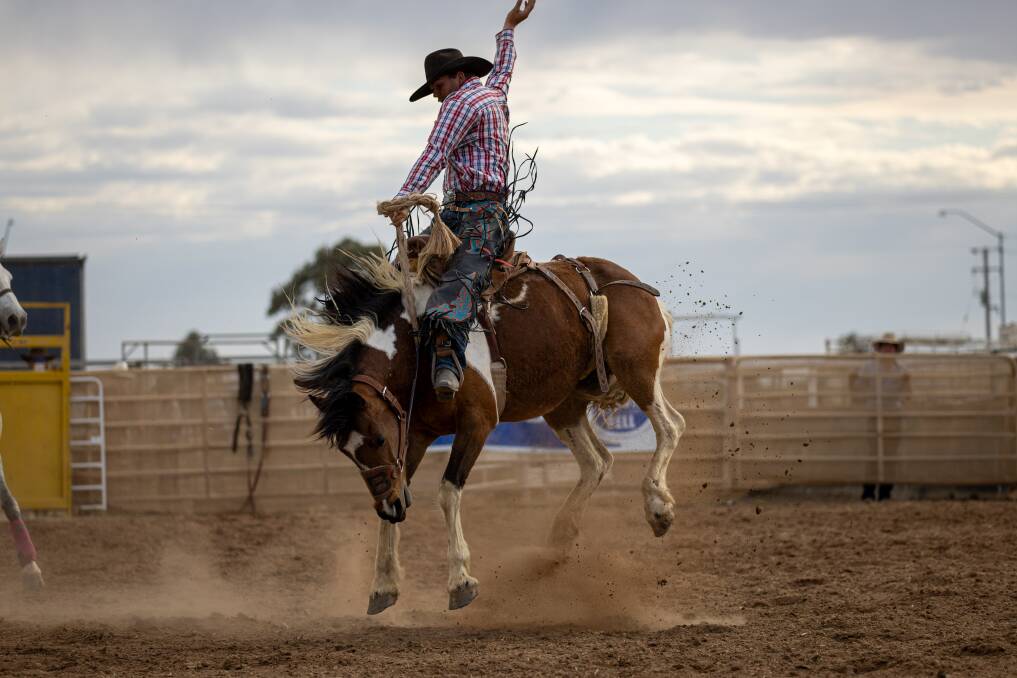 President of the Nevertire Rodeo Tom Russ during his third-place ride in the Open Saddlebronc event. Picture by Jodie Adams 