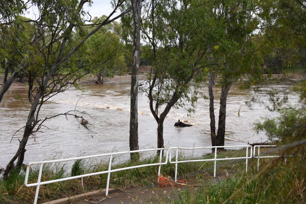 The River was high at Tamworth Street Pedestrian Bridge. Picture by Amy McIntyre 