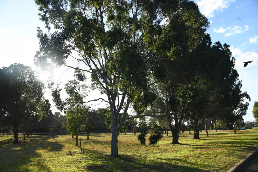 Parade Park is just one of the parks Council will look at turning into operational land. Picture: Amy McIntyre 