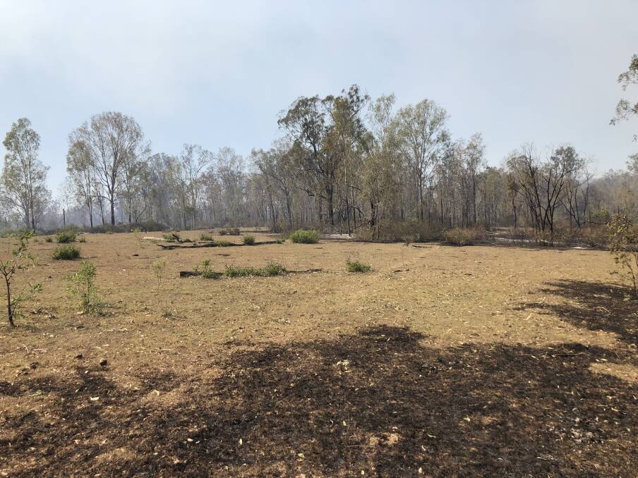 Open grassland grazed and managed arrested a forest fire without any human suppression in 2018.