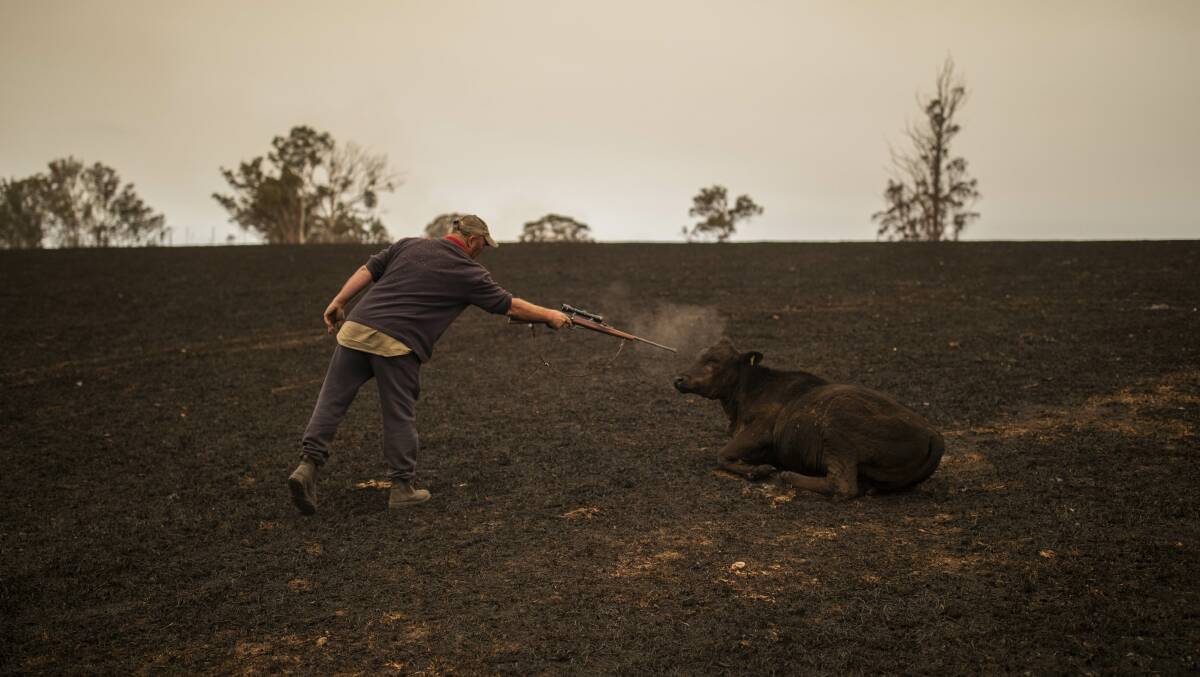 EMOTIONAL: Sean Davey's award-winning photo of Coolagolite farmer Steve Shipton. Photo: Sean Davey/Oculi/AAP/National Rural Press Club Awards
