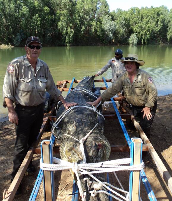 At 4.72 metres, this monster croc trapped at Borroloola on Monday pips the Katherine capture by just one centimetre. Picture: NT Parks and Wildlife.