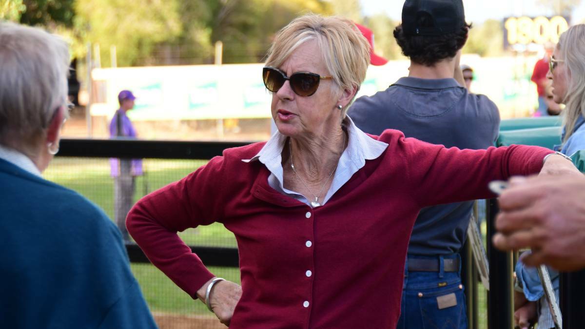 UNDER PRESSURE: Gayna Williams faces a race against time with El Mo presenting a foot abscess days out from the Country Championships. Photo: BELINDA SOOLE