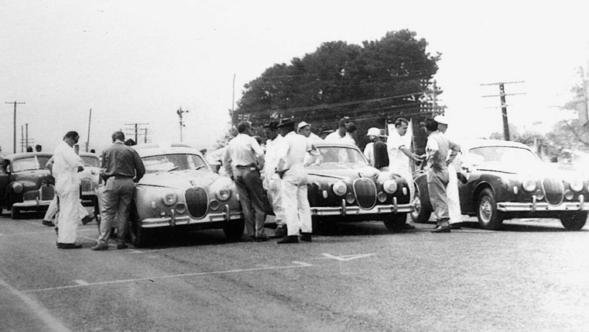 START YOUR ENGINES: The three winning Jaguars on the start line at Gnoo Blas in the first touring car championship in 1960.