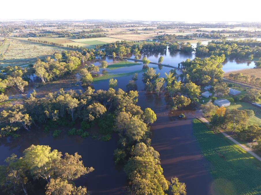 VIEW FROM ON HIGH: The Lachlan River nearing 10.4m at the Iron Bridge gauge early Wednesday with an anticipated peak of 10.55m. Picture: Craig Dwyer