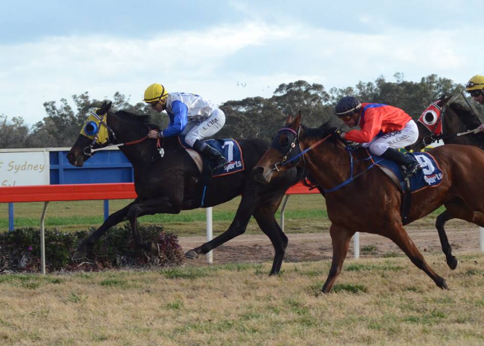 RETURN: Last year's winner Gentleman Max (yellow cap) and runner-up Zarlu will line up in the Forbes Cup again on Monday. Photo: RENEE POWELL