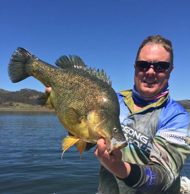 CHASE THE GOLDEN PERCH: Murray Cod season closed on September 1st, making for the ideal time to chase Golden Perch. Pictured is Matt Hansen. Photo: CONTRIBUTED