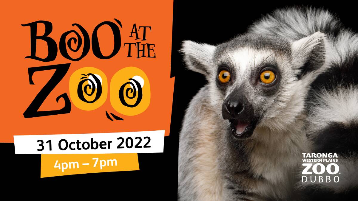 Boo! Zoo animals to join in the Halloween fun at new event