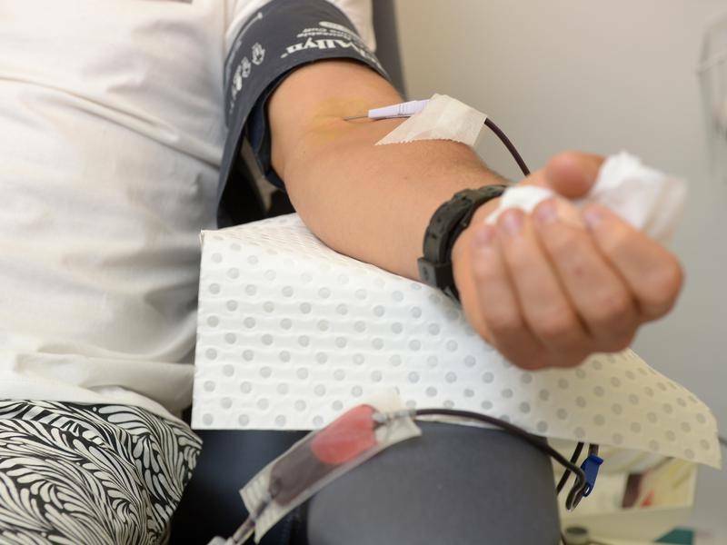 PLEASE DONATE: To book an appointment to donate blood or plasma call 13 41 95, visit lifeblood.com.au or download the free Donate Blood app. Photo: FILE