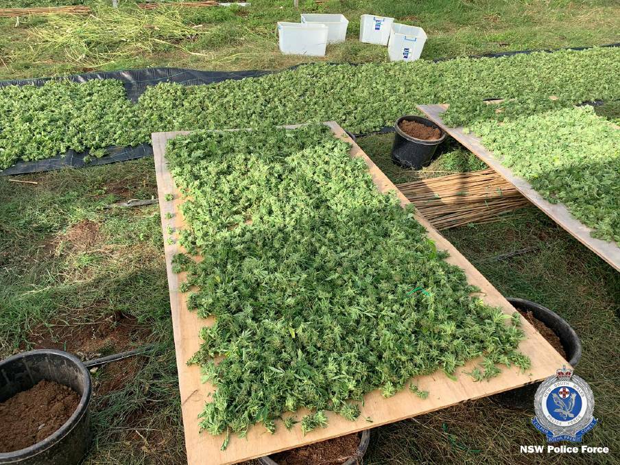 SEIZED: An eighth person has been charged after $10m worth of cannabis was seized at Ballimore. 