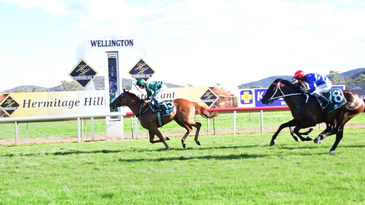 WINNER: Sonnet Star took out the rich $200,000 Wellington Boot race on Sunday. Photo: AMY MCINTYRE
