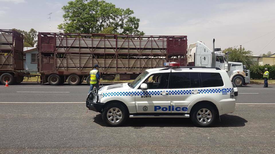 REMINDER: Police are reminding the public to beware of livestock on public roads. Photo: FILE, NSW POLICE