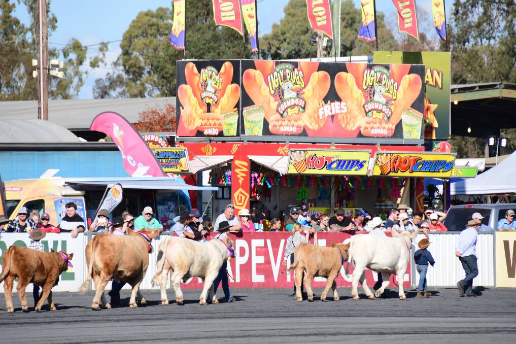 READY FOR THE SHOW: The annual Dubbo show will be held on Friday, Saturday and Sunday. Pictured, a scene from the 2019 show. Photo: AMY McINTYRE