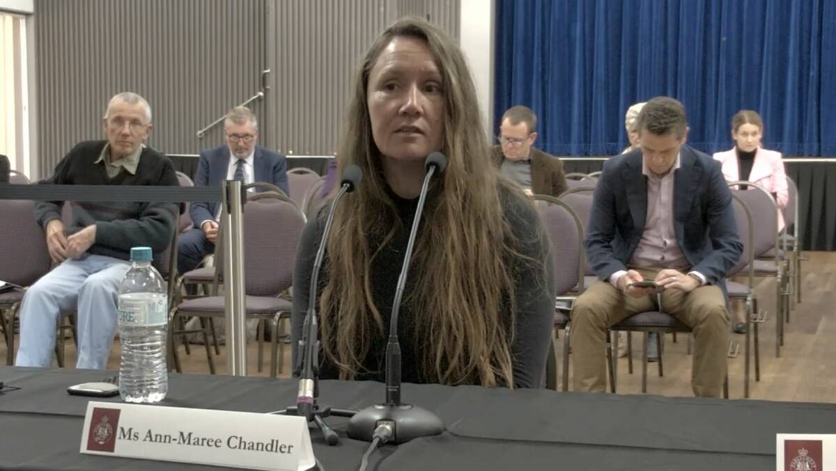 CULTURAL UNDERSTANDING NEEDED: Indidg Connect owner Ann-Maree Chandler spoke at the hearing, saying 