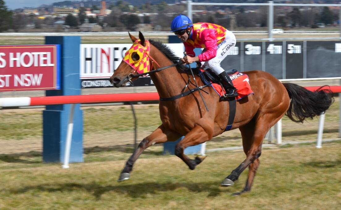 CLEAR WINNER: Bobby El-Issa guides Snitzagirl to a comfortable win at Tyers Parkl on Friday. Photo: ANYA WHITELAW