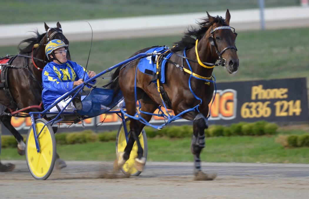 STAND UP?: Chris Frisby's star gelding Our Uncle Sam will face a standing start challenge in Tuesday's rich New Zealand Trotting Cup.
