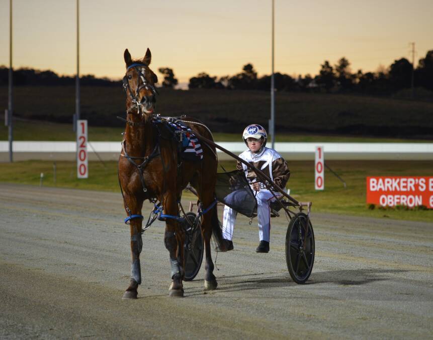 ON A ROLL: Justin Reynolds steered Karloo Louie to career win number four for Dubbo trainer Barry Lew on Wednesday night. Photo: ANYA WHITELAW