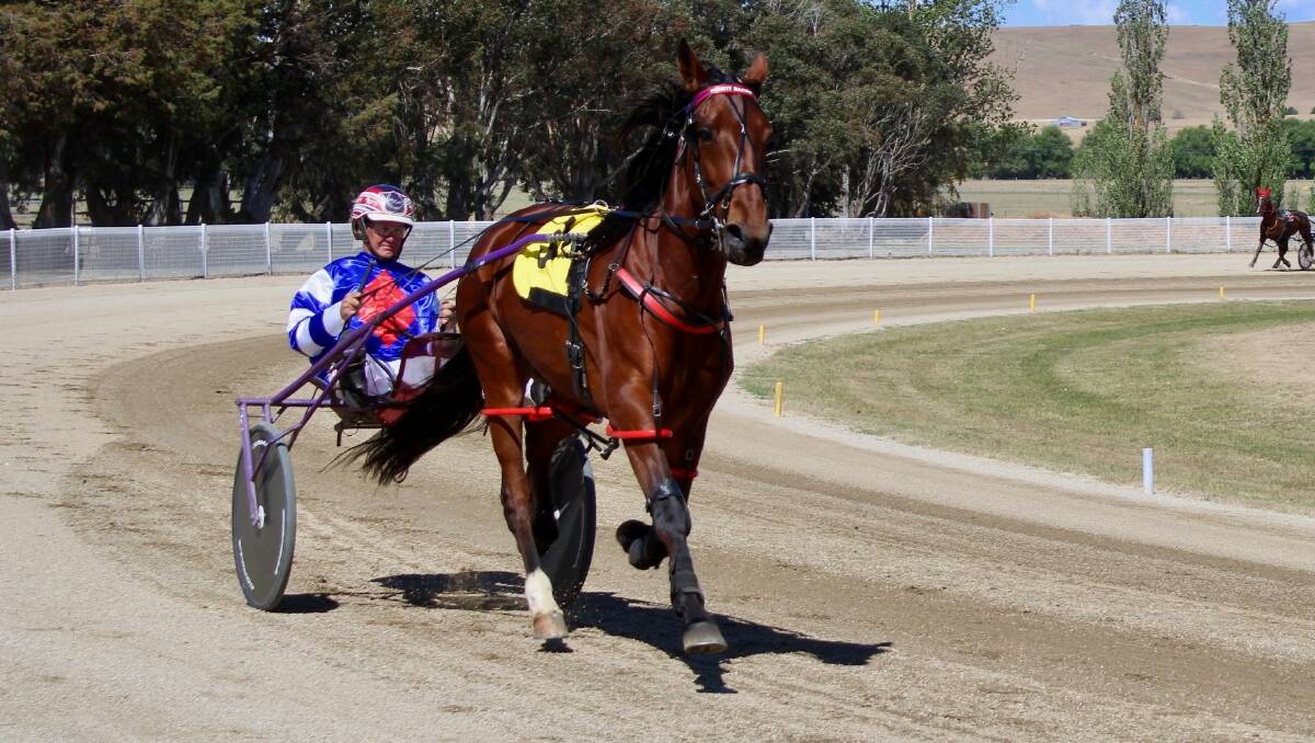 BACK ON TRACK: After injury sidelined him for six weeks, Georges Plains trainer-driver Bernie Hewitt was back in the gig on weekend. He notched up a win at Temora and a treble at Dubbo.