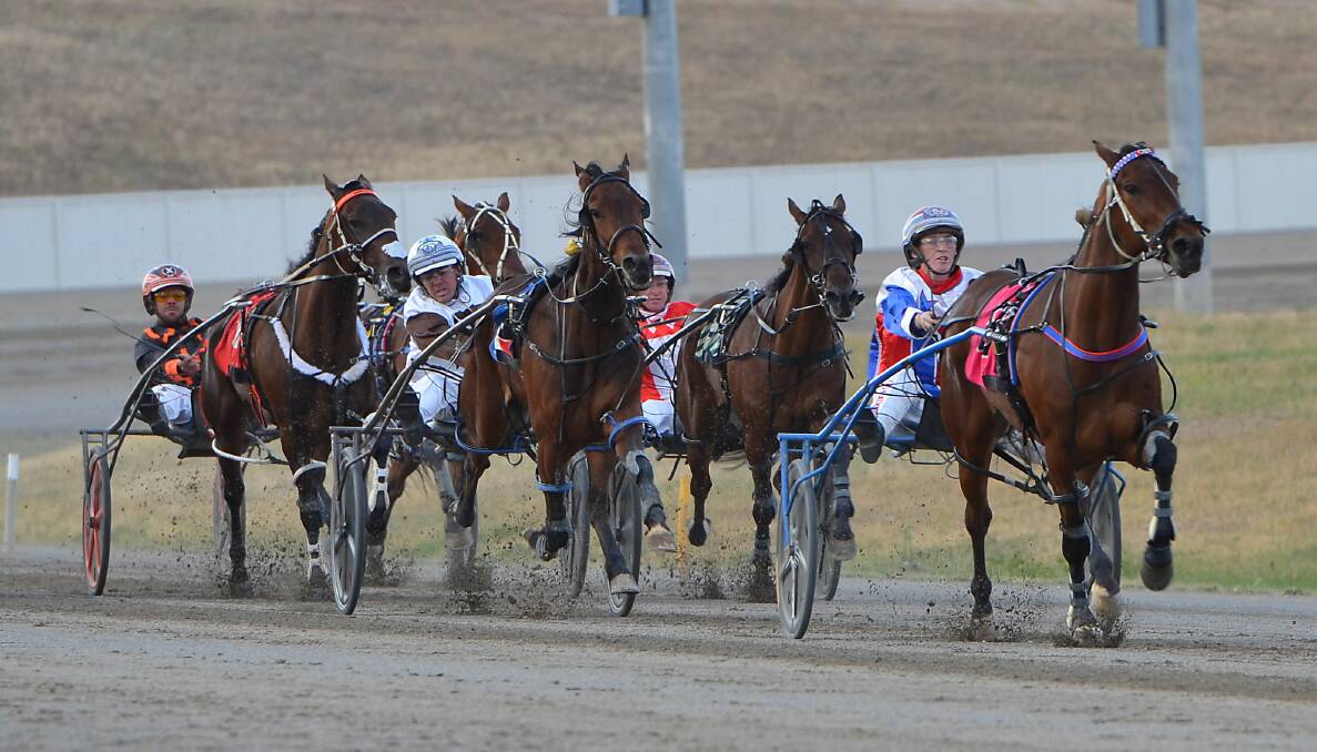 Amanda Turnbull drove Obi One to victory in the 2019 edition of the Soldiers Saddle Final.