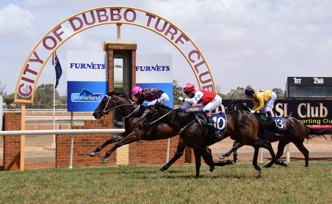 DOUBLE: Ashley Morgan rides the first of his two winners for trainer Brett Thompson, Clever Missile, to victory at the Dubbo Turf Club. Photo: AMY McINTYRE