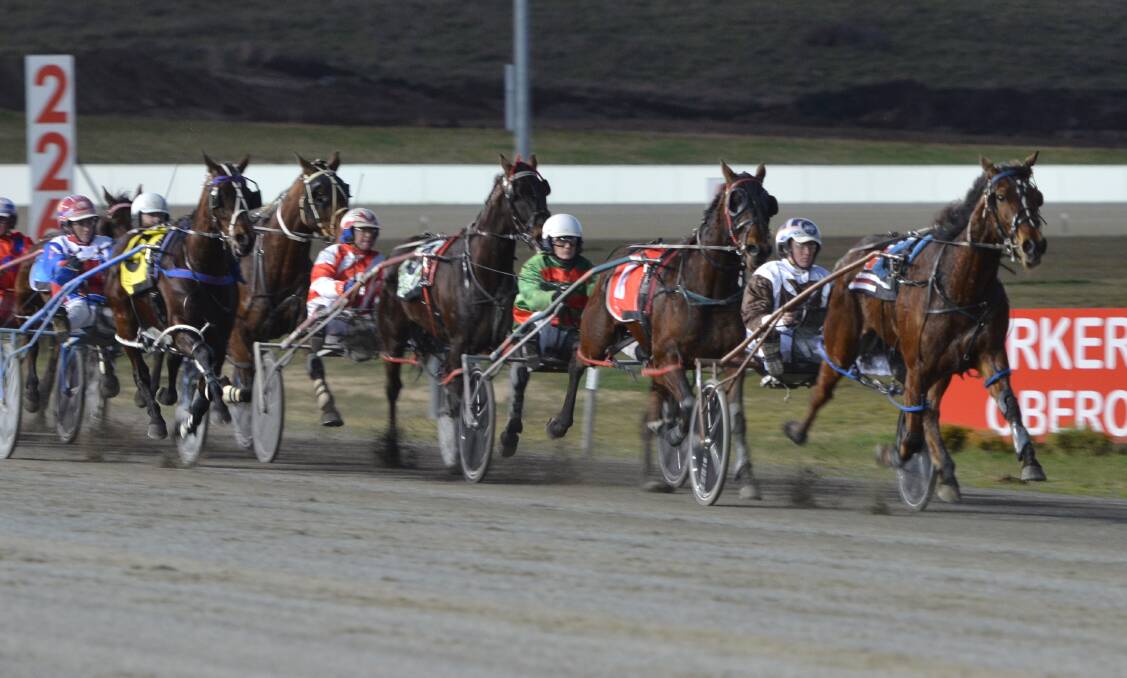 LOUIE LOVES BATHURST: Karloo Louie made it four consecutive wins at the Bathurst Paceway when saluting on Wednesday night. Photos: ANYA WHITELAW
