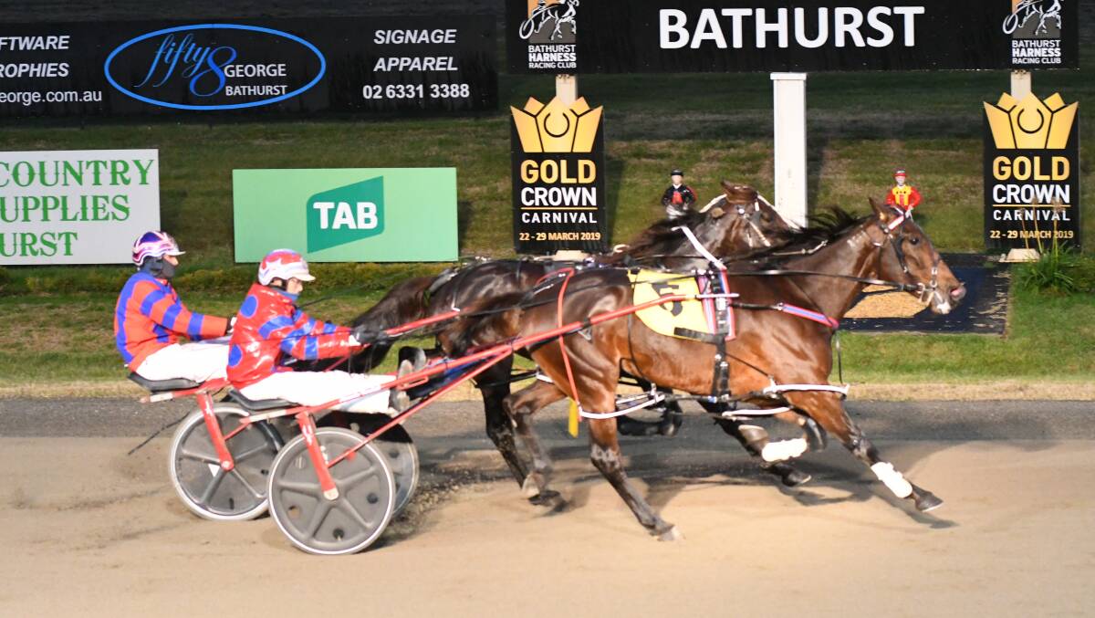 FIGHTING ALL THE WAY HOME: Smooth Cash nudges out favourite Bettor Jiggle in a three-year-old colts and geldings NSW Breeders Challenge pace on Wednesday night. Photo: CHRIS SEABROOK