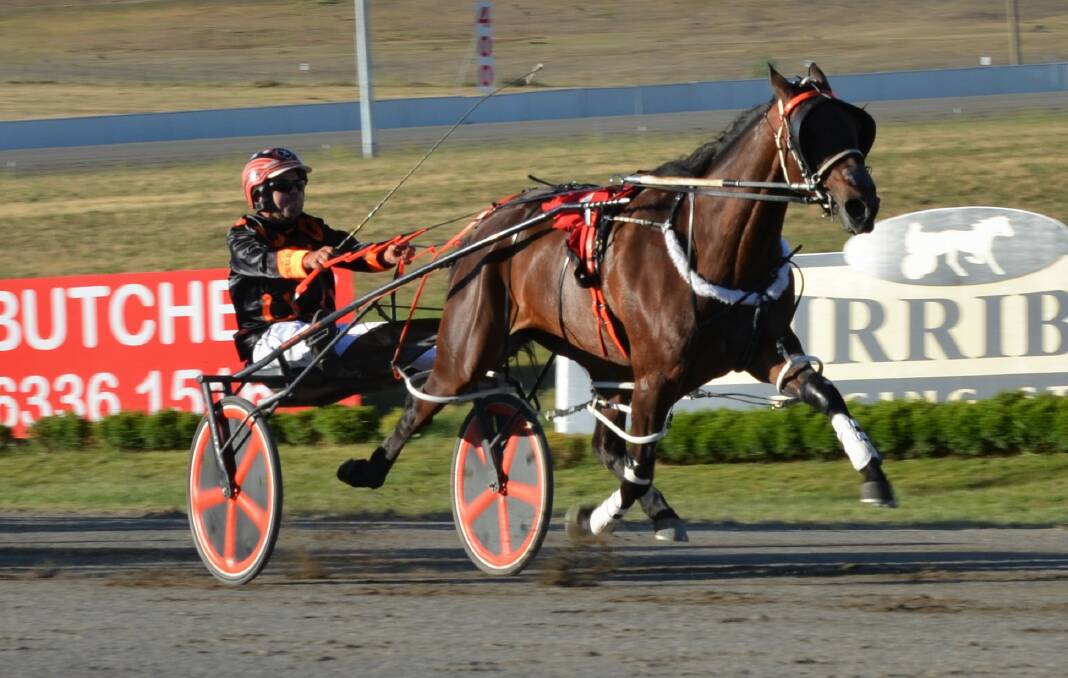 Bella Clare posted an all the way win in the first Soldiers Saddle heat. Photos: ANYA WHITELAW