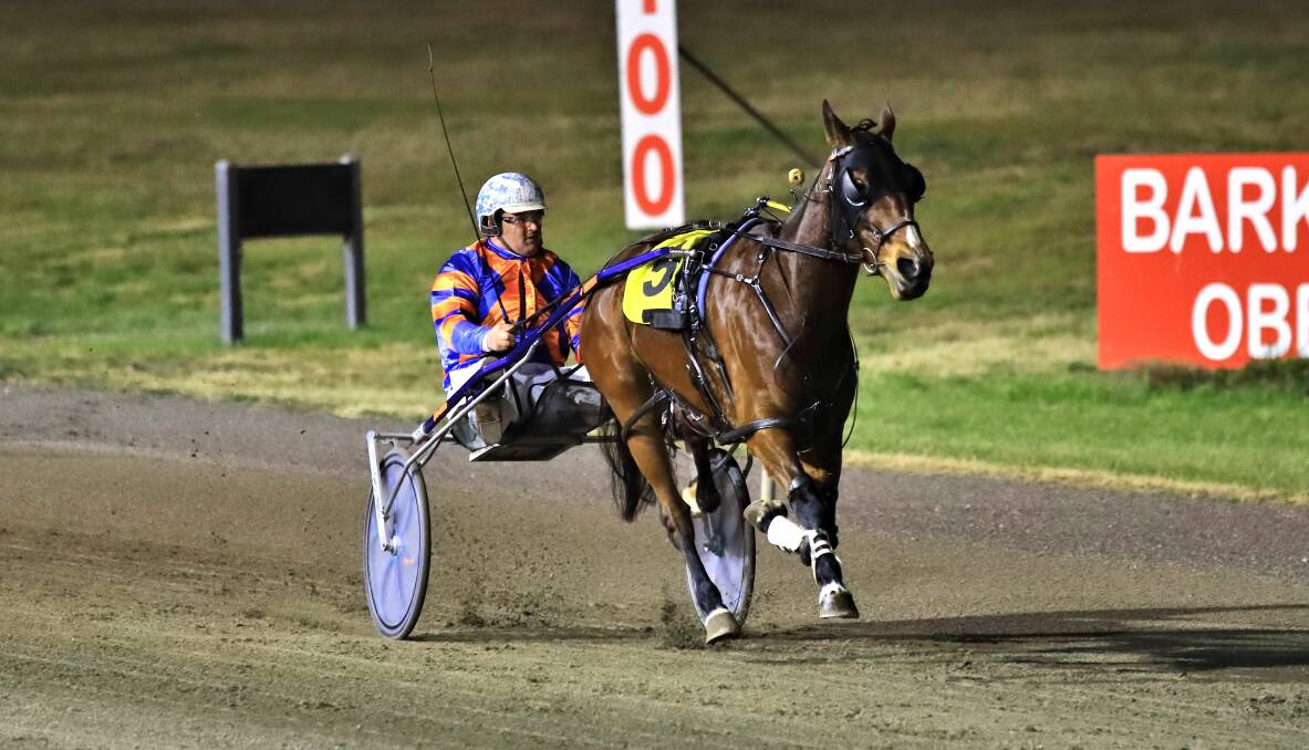 DOUBLE VISION: Blayney trainer-driver Wade Judd is hoping to make it back-to-back wins with Blaze Edition. Photo: COFFEE PHOTOGRAPHY AND FRAMING