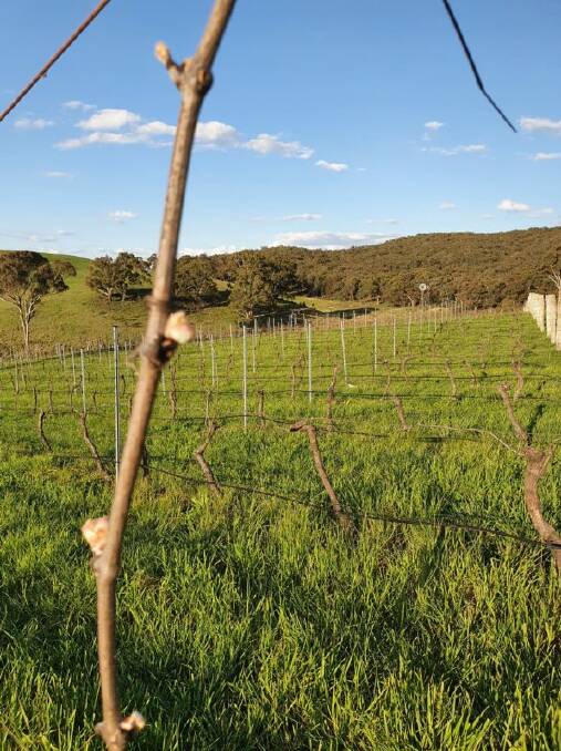 Field to Forest: Get on the rail to boutique wineries, breweries and distilleries.