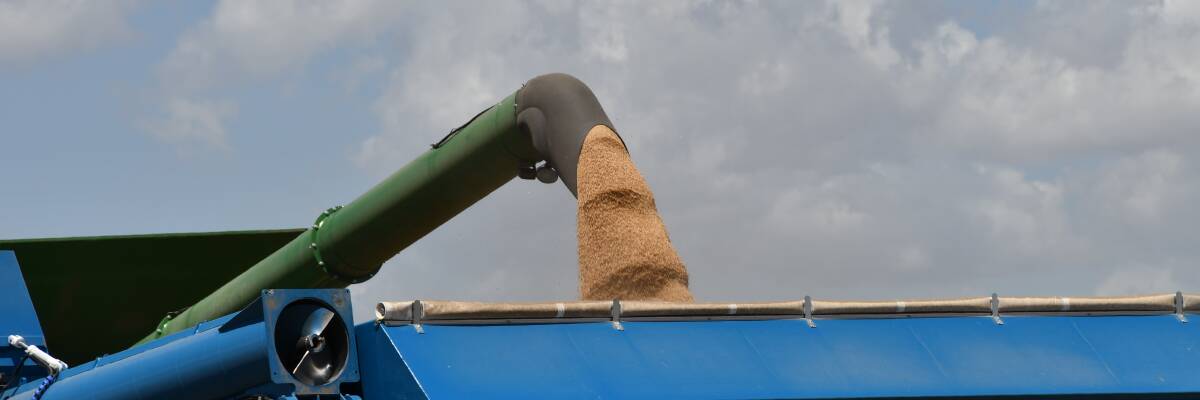 The past week was GrainCorp's busiest of harvest so far. Photo: Billy Jupp 