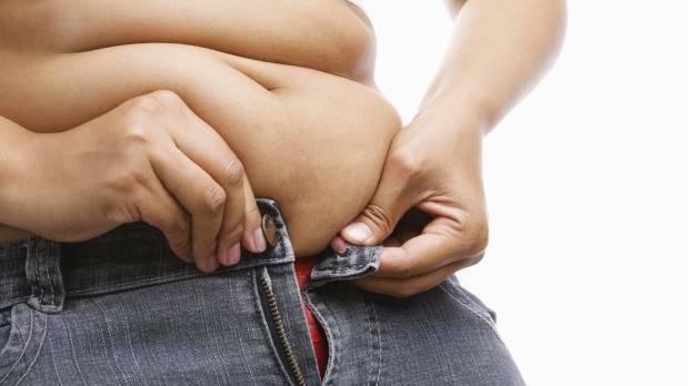 OBESITY CHALLENGE: "It is not any one person's fault that they are overweight," Dr Penny Small said. Photo: FILE